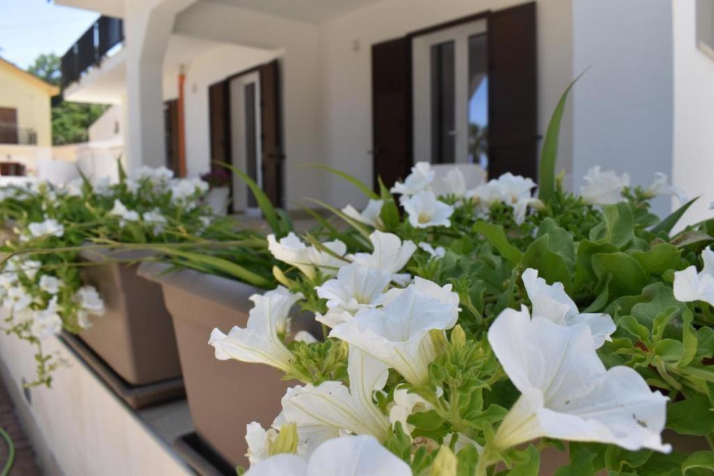 B&B Lastracu Castellammare del Golfo Eksteriør billede