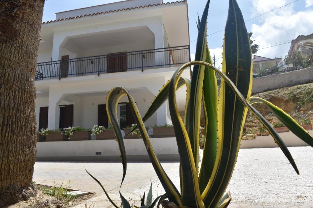 B&B Lastracu Castellammare del Golfo Eksteriør billede